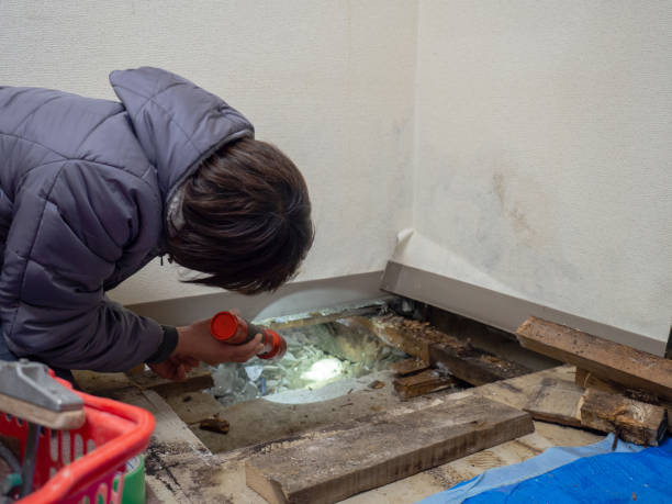 Best Mold Documentation for Insurance Claims  in Statesboro, GA