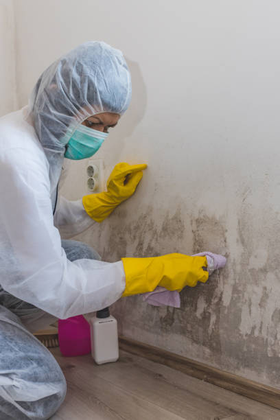 Best Comprehensive Air Testing for Mold Contaminants  in Statesboro, GA