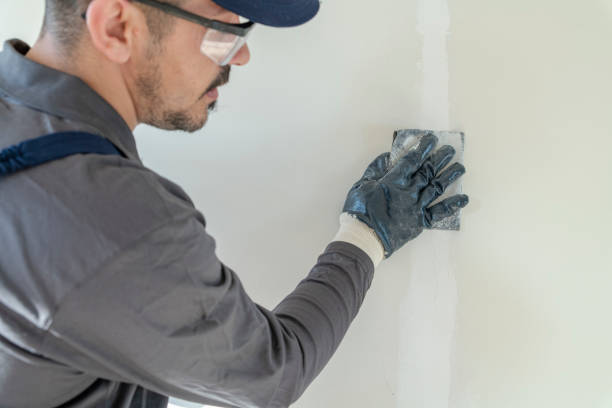 Best Residential Mold Inspection & Testing  in Statesboro, GA