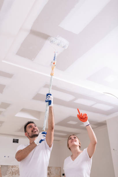 Best Residential Mold Inspection & Testing  in Statesboro, GA