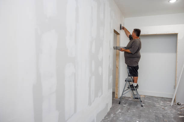 Best Asbestos and Lead Testing During Mold Inspection  in Statesboro, GA