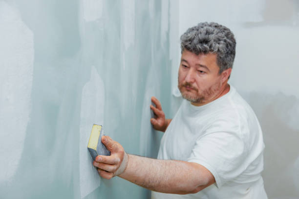Best Black Mold Removal  in Statesboro, GA