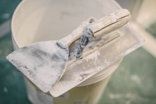 Best Environmental Consulting for Mold Prevention  in Statesboro, GA
