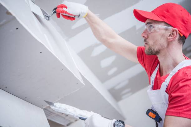 Trusted Statesboro, GA Mold Removal Experts